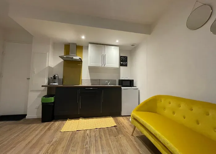 T1 Bis Cosy Proche Gare Lourdes