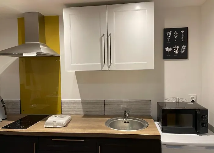 T1 Bis Cosy Proche Gare Apartment *