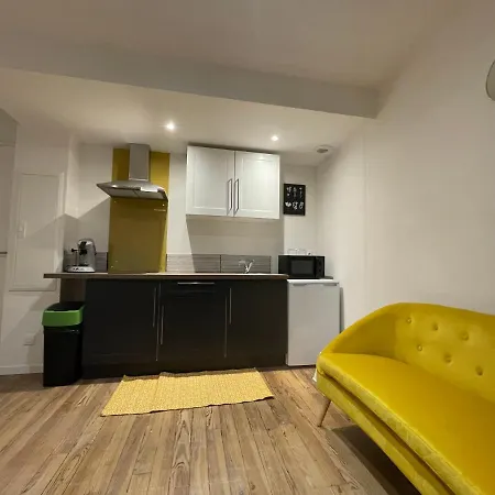 T1 Bis Cosy Proche Gare 卢德