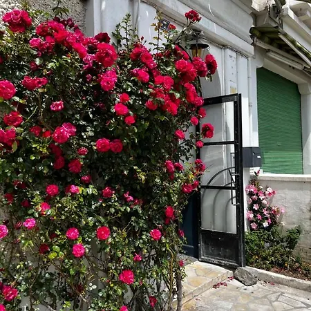 公寓 T1 Bis Cosy Proche Gare 卢德