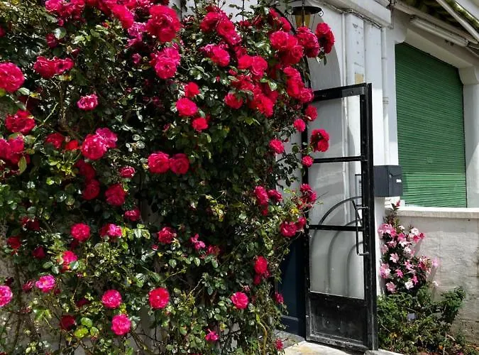 Daire T1 Bis Cosy Proche Gare Lourdes